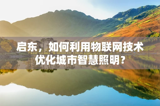 启东，如何利用物联网技术优化城市智慧照明？