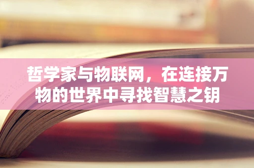 哲学家与物联网，在连接万物的世界中寻找智慧之钥