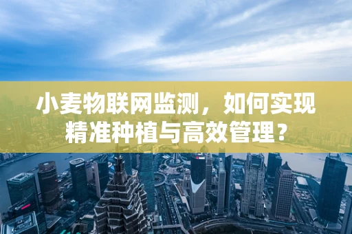 小麦物联网监测，如何实现精准种植与高效管理？