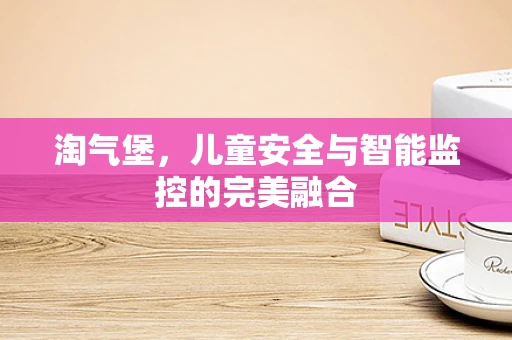 淘气堡，儿童安全与智能监控的完美融合