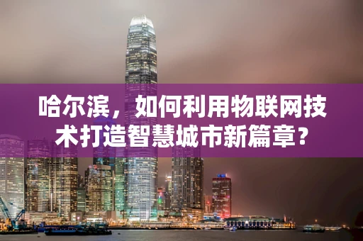 哈尔滨，如何利用物联网技术打造智慧城市新篇章？
