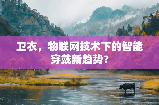 卫衣，物联网技术下的智能穿戴新趋势？