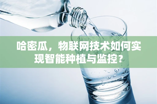 哈密瓜，物联网技术如何实现智能种植与监控？