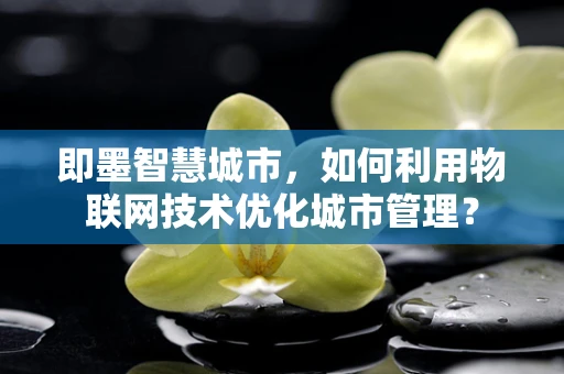 即墨智慧城市，如何利用物联网技术优化城市管理？