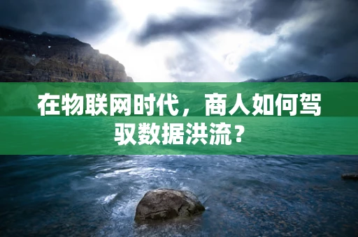 在物联网时代，商人如何驾驭数据洪流？
