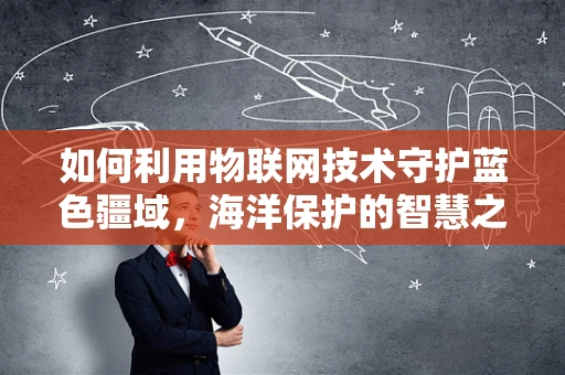 如何利用物联网技术守护蓝色疆域，海洋保护的智慧之问