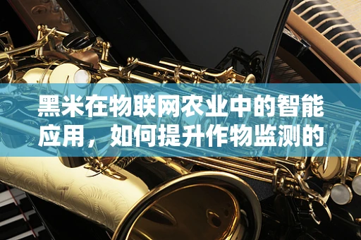 黑米在物联网农业中的智能应用，如何提升作物监测的精准度？