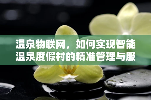温泉物联网，如何实现智能温泉度假村的精准管理与服务？
