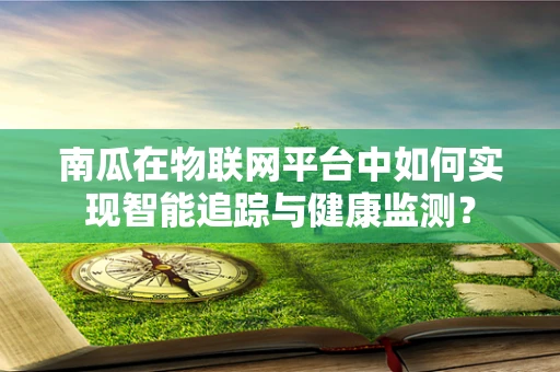 南瓜在物联网平台中如何实现智能追踪与健康监测？