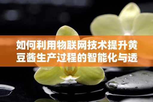 如何利用物联网技术提升黄豆酱生产过程的智能化与透明度？