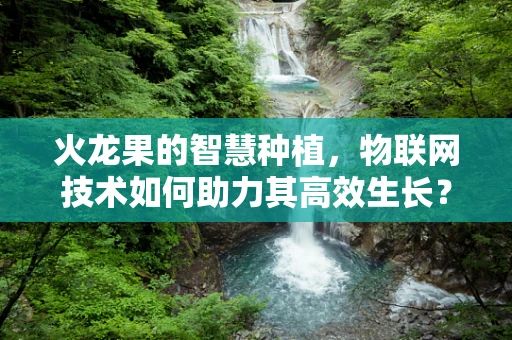 火龙果的智慧种植，物联网技术如何助力其高效生长？