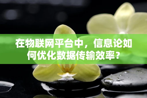 在物联网平台中，信息论如何优化数据传输效率？