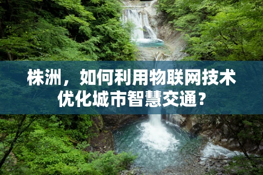 株洲，如何利用物联网技术优化城市智慧交通？