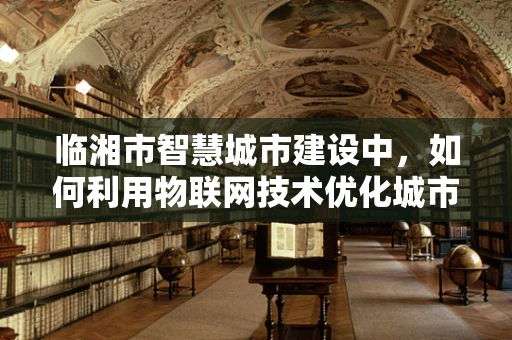 临湘市智慧城市建设中，如何利用物联网技术优化城市管理？
