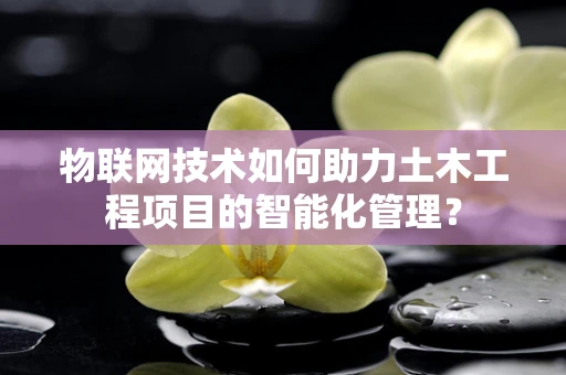 物联网技术如何助力土木工程项目的智能化管理？