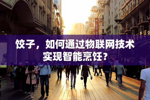 饺子，如何通过物联网技术实现智能烹饪？