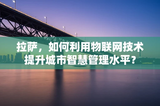 拉萨，如何利用物联网技术提升城市智慧管理水平？