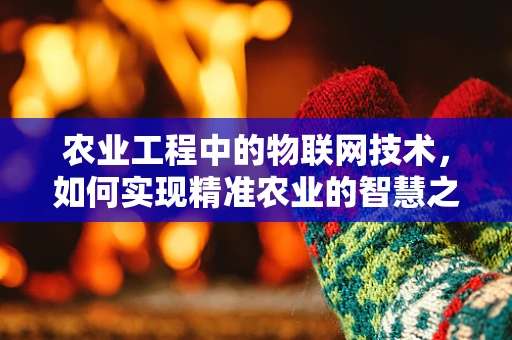农业工程中的物联网技术，如何实现精准农业的智慧之眼？