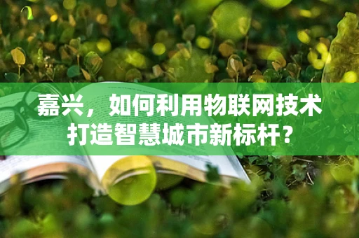 嘉兴，如何利用物联网技术打造智慧城市新标杆？