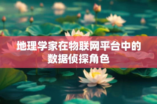 地理学家在物联网平台中的数据侦探角色