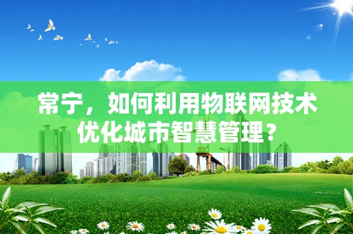 常宁，如何利用物联网技术优化城市智慧管理？