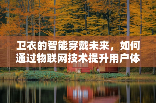 卫衣的智能穿戴未来，如何通过物联网技术提升用户体验？