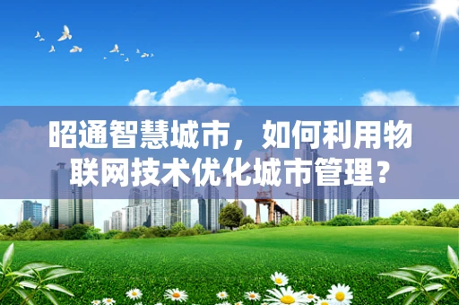 昭通智慧城市，如何利用物联网技术优化城市管理？