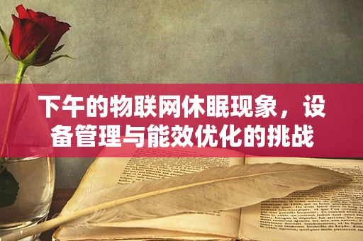下午的物联网休眠现象，设备管理与能效优化的挑战