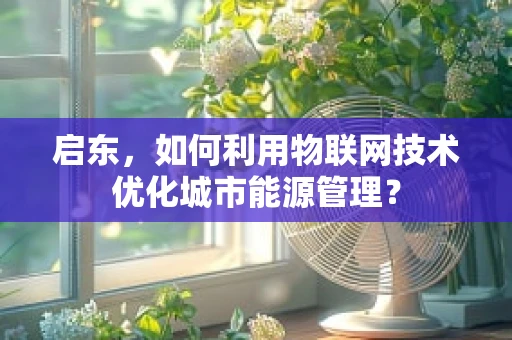 启东，如何利用物联网技术优化城市能源管理？