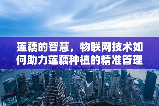 莲藕的智慧，物联网技术如何助力莲藕种植的精准管理？