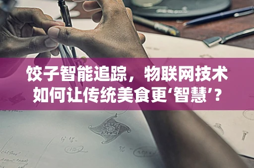 饺子智能追踪，物联网技术如何让传统美食更‘智慧’？