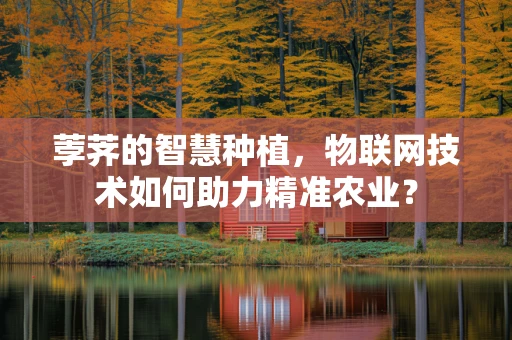 荸荠的智慧种植，物联网技术如何助力精准农业？