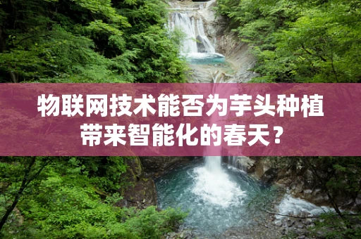 物联网技术能否为芋头种植带来智能化的春天？