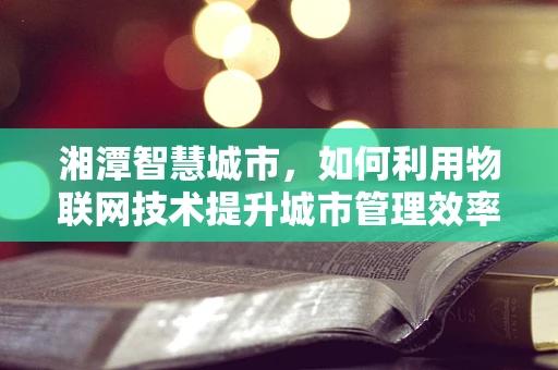 湘潭智慧城市，如何利用物联网技术提升城市管理效率？