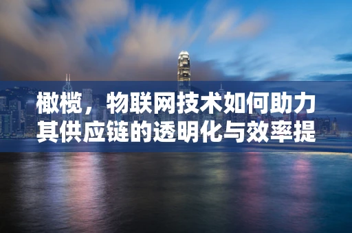 橄榄，物联网技术如何助力其供应链的透明化与效率提升？
