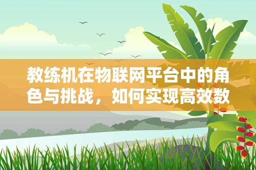 教练机在物联网平台中的角色与挑战，如何实现高效数据传输与智能控制？