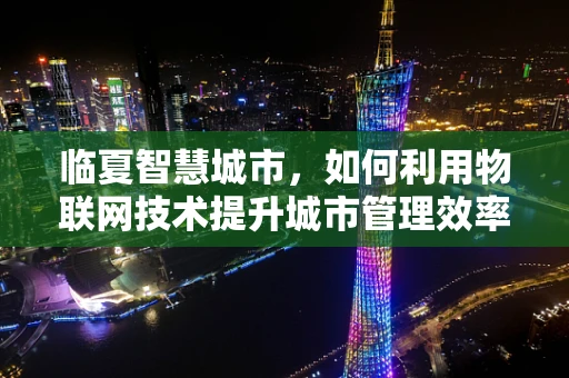 临夏智慧城市，如何利用物联网技术提升城市管理效率？