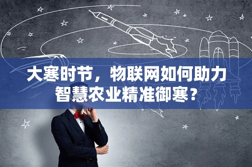 大寒时节，物联网如何助力智慧农业精准御寒？