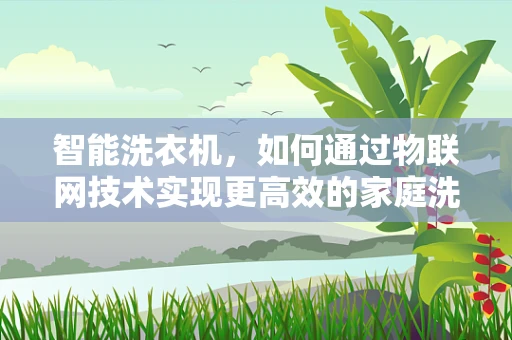 智能洗衣机，如何通过物联网技术实现更高效的家庭洗涤？