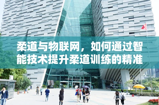 柔道与物联网，如何通过智能技术提升柔道训练的精准与效率？