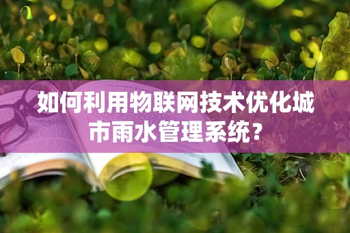 如何利用物联网技术优化城市雨水管理系统？