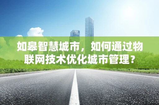 如皋智慧城市，如何通过物联网技术优化城市管理？