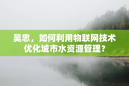 吴忠，如何利用物联网技术优化城市水资源管理？