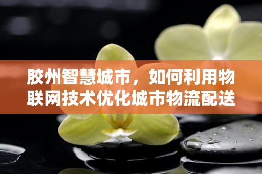 胶州智慧城市，如何利用物联网技术优化城市物流配送？