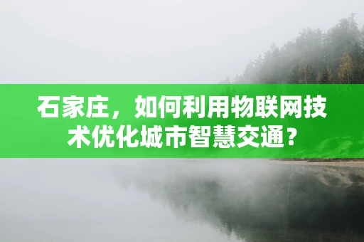 石家庄，如何利用物联网技术优化城市智慧交通？