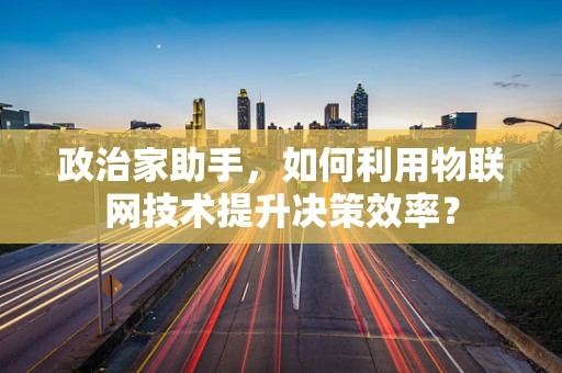 政治家助手，如何利用物联网技术提升决策效率？