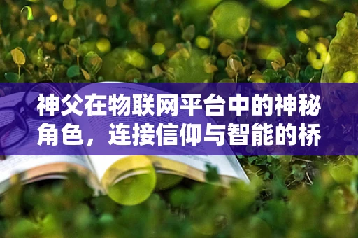 神父在物联网平台中的神秘角色，连接信仰与智能的桥梁？