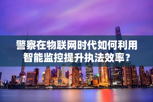 警察在物联网时代如何利用智能监控提升执法效率？