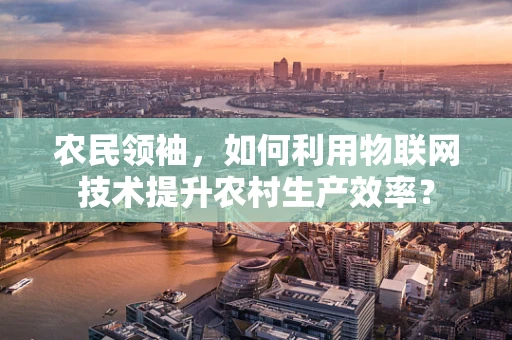 农民领袖，如何利用物联网技术提升农村生产效率？