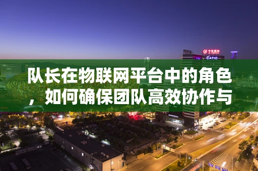 队长在物联网平台中的角色，如何确保团队高效协作与决策？